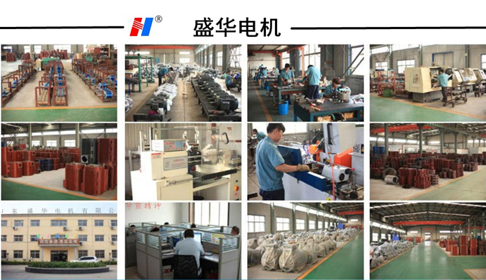 山東盛華電機(jī)生產(chǎn)廠家,陶瓷成型機(jī)專用電機(jī),電機(jī)定制