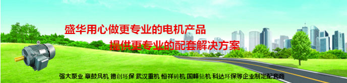 山東聊城盛華電機(jī)生產(chǎn)廠家,輸送設(shè)備專用電機(jī),電機(jī)定制