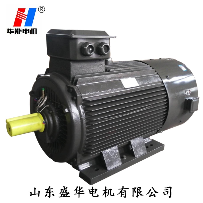 山東電機(jī),聊城電機(jī)廠,大功率電動機(jī),電動機(jī)