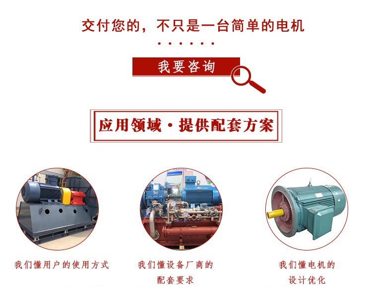 山東電機(jī)廠,電機(jī)生產(chǎn)廠家,大功率電機(jī),戶外電機(jī)